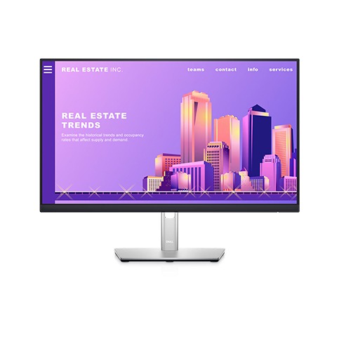 DELL P2422H MONITOR 23.8